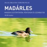 Madárles a Scruton kult-boatján