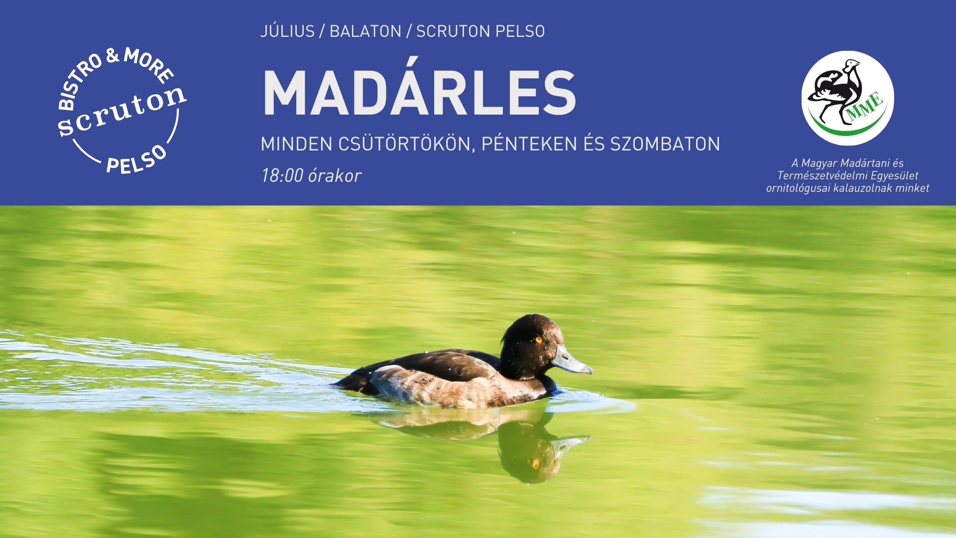 Madárles a Scruton kult-boatján