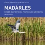 Madárles a Scruton kult-boatján
