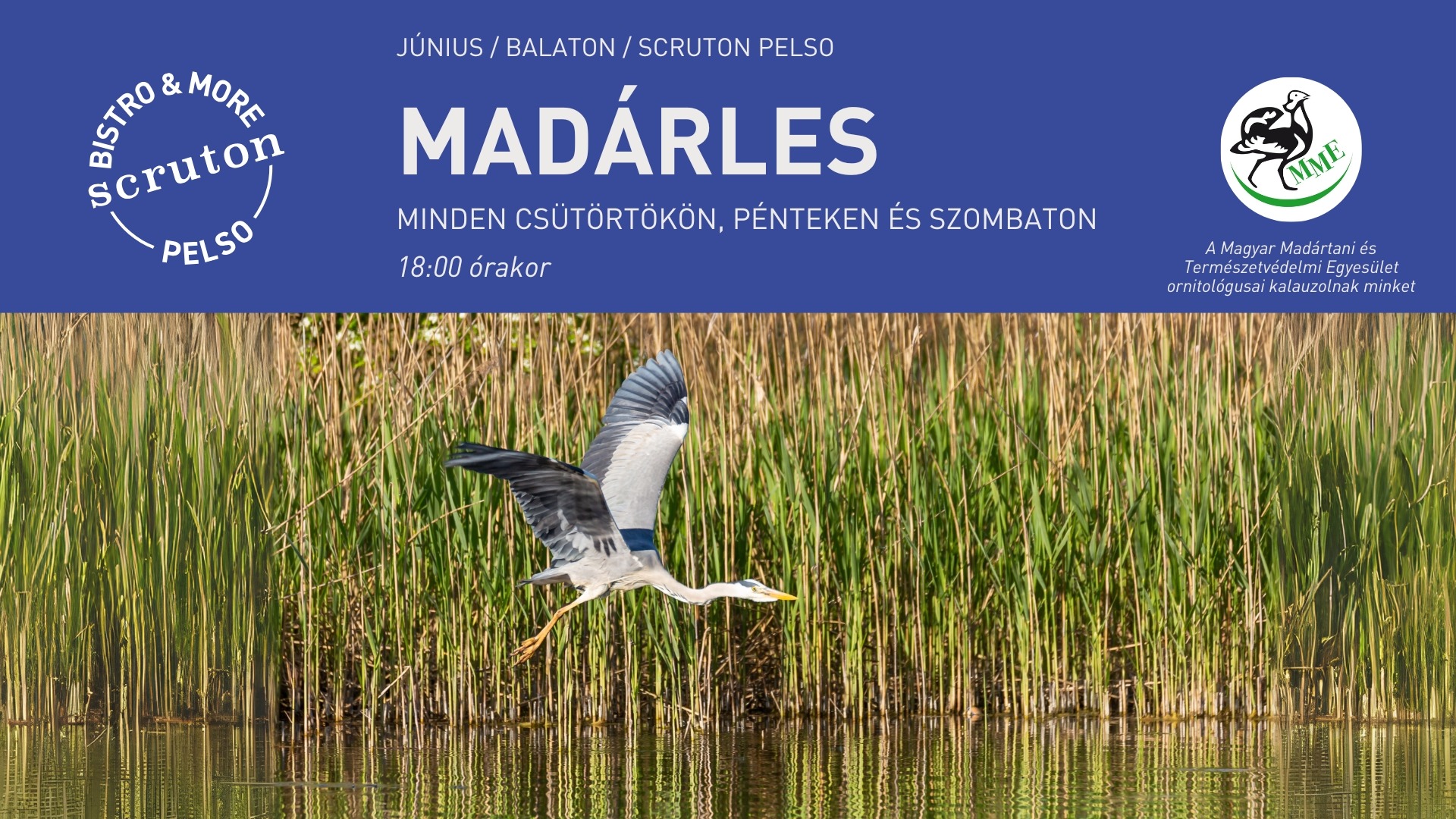 Madárles a Scruton kult-boatján