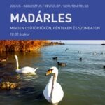 Madárles a Scruton kult-boatján