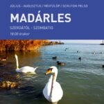Madárles a Scruton kult-boatján