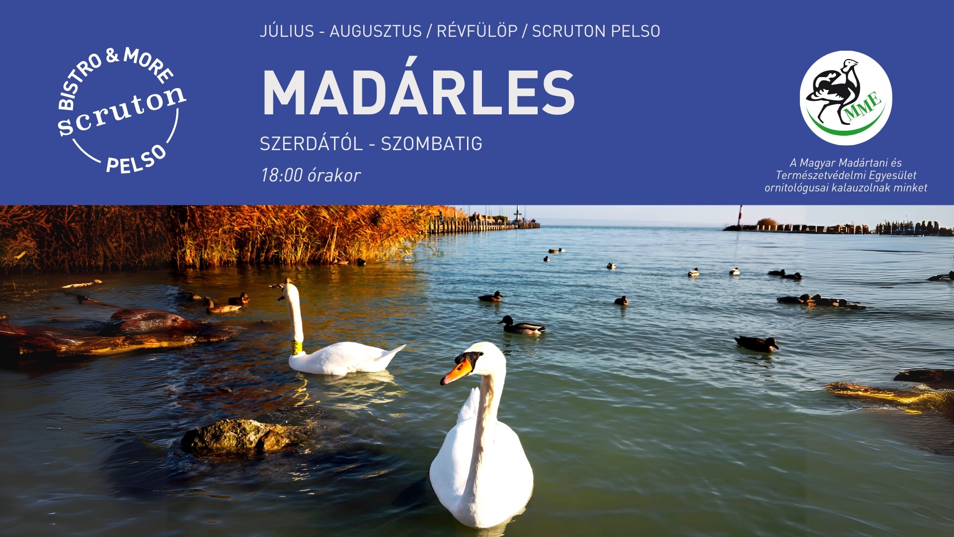 Madárles a Scruton kult-boatján