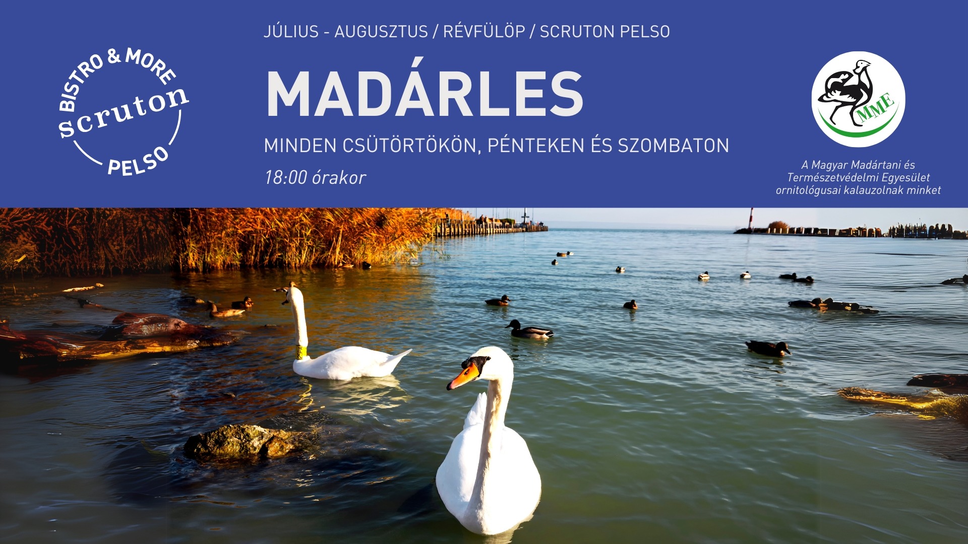 Madárles a Scruton kult-boatján