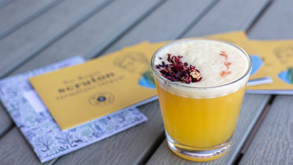 Scruton Pelso - közösségi tér a Balaton partján - frissítő koktélok