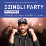 Szingli party - A lemezjátszók mögött: DR BRS és DJ Apesz